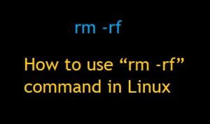 How to use “rm -rf” command in Linux - Jaipur Hosting - Blog