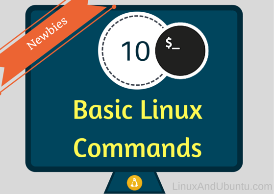 Basic Cat Commands in Linux with Examples