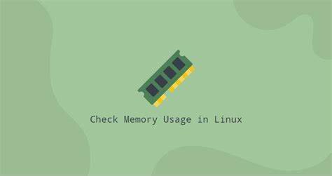 How to check memory usage on CentOS